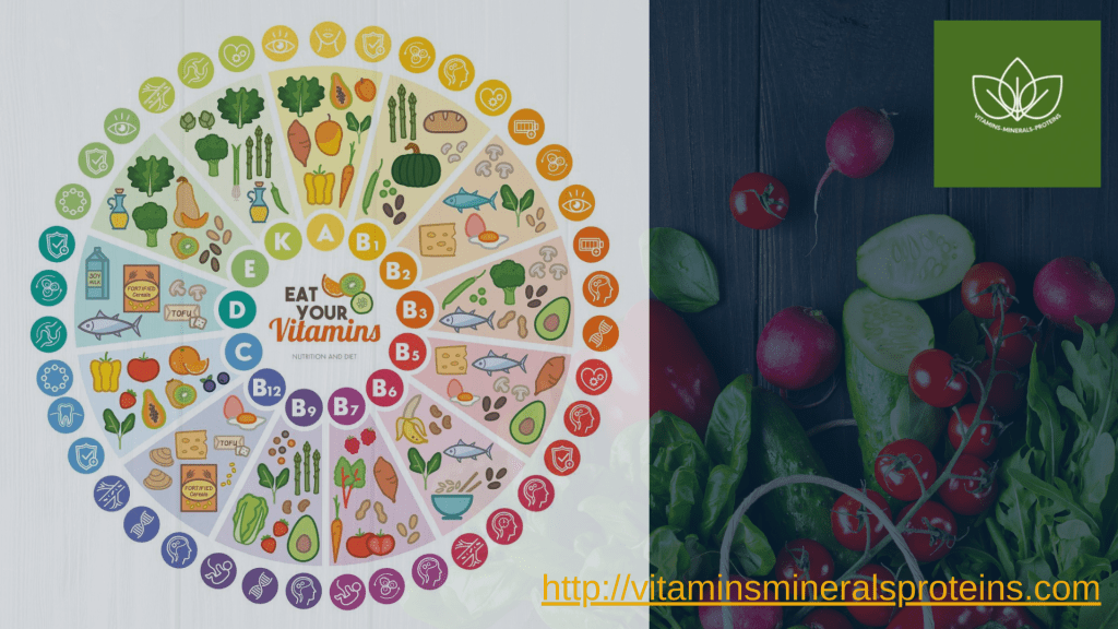 The A to Z of Vitamins: Their Importance and Sources. (proteins, vitamins, minerals, health and nutrition guide)